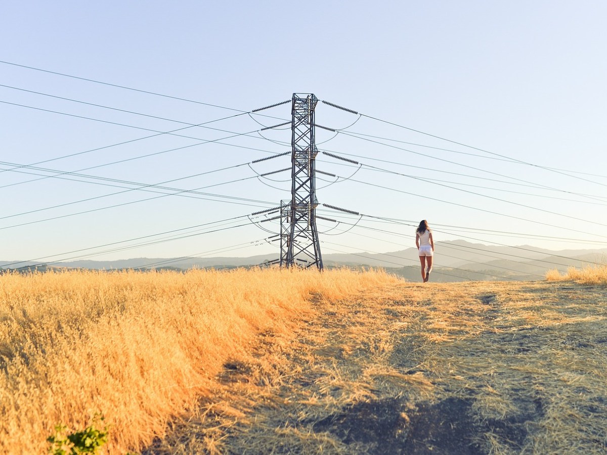 Future electricity grids: the rise of the&nbsp;prosumer