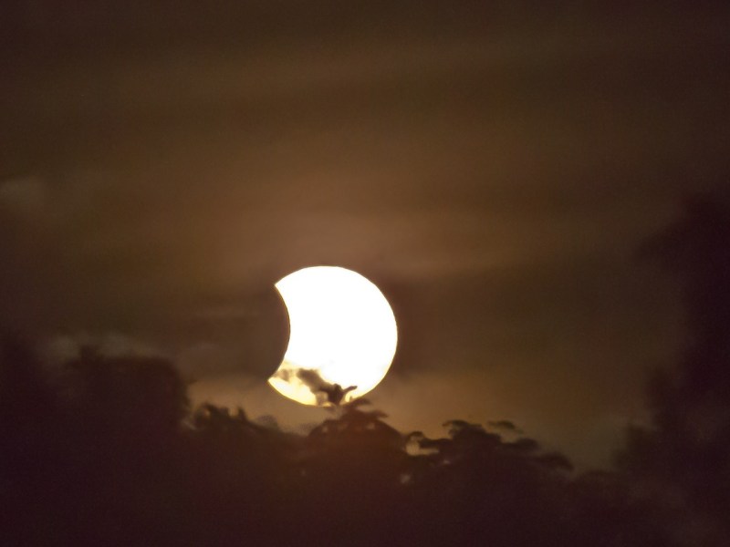 Electricity prices & the solar&nbsp;eclipse